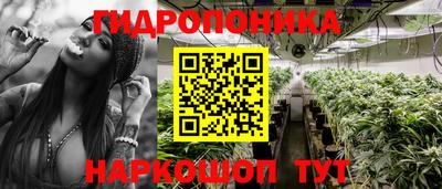 таблы Дубна